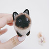 instagram images